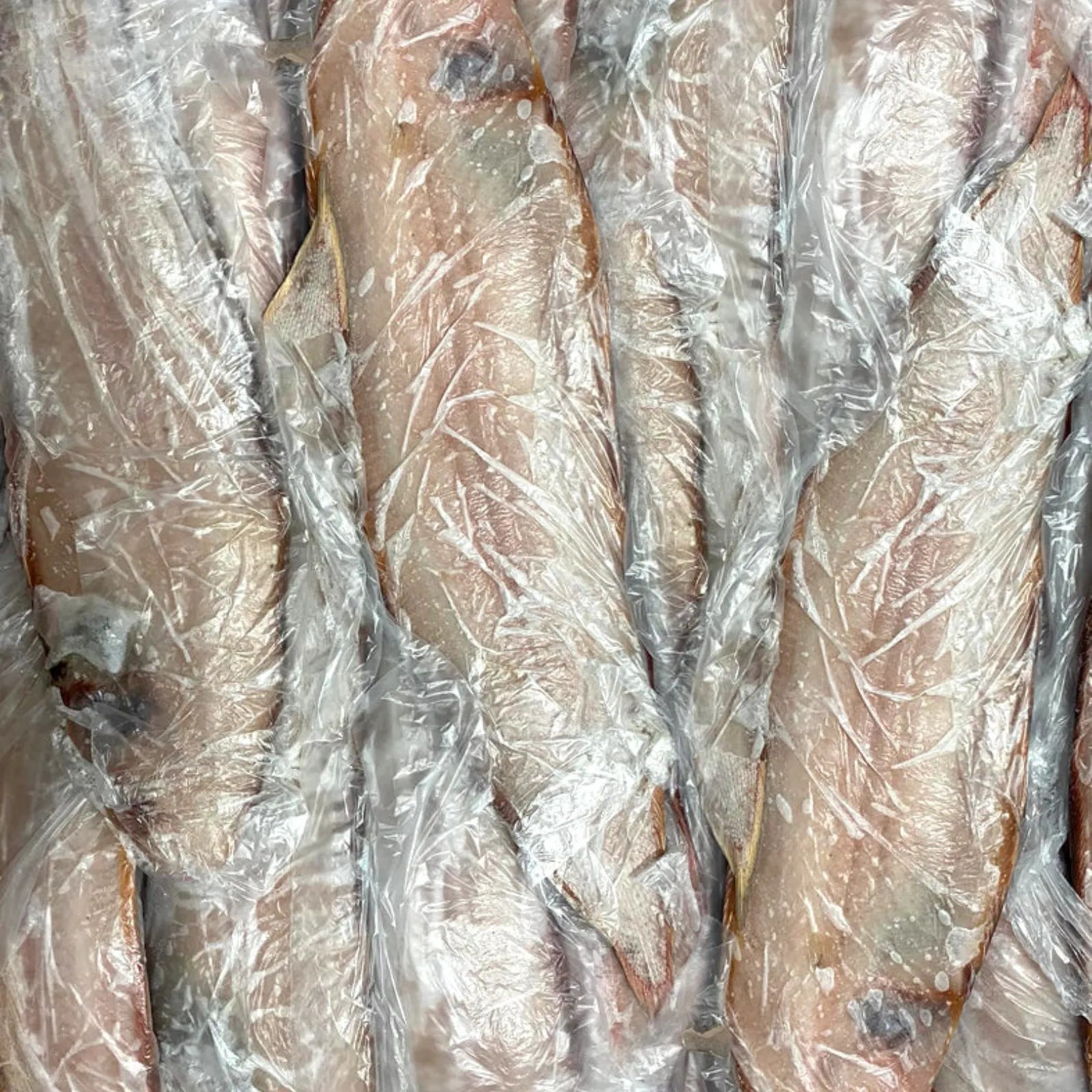 Sole Big Frozen (10 KG / 20Kg)