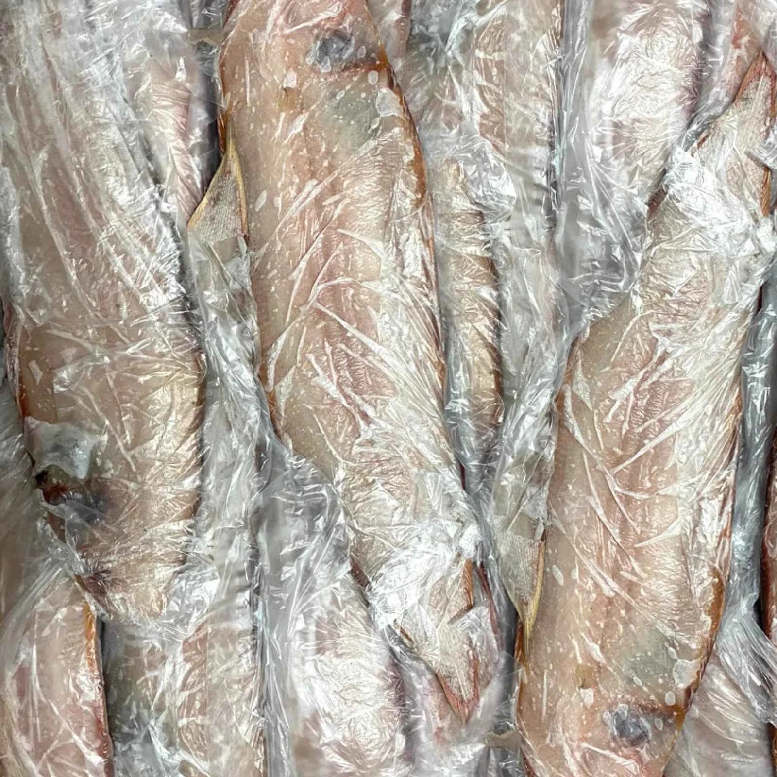 Sole Big Frozen (10 KG / 20Kg)