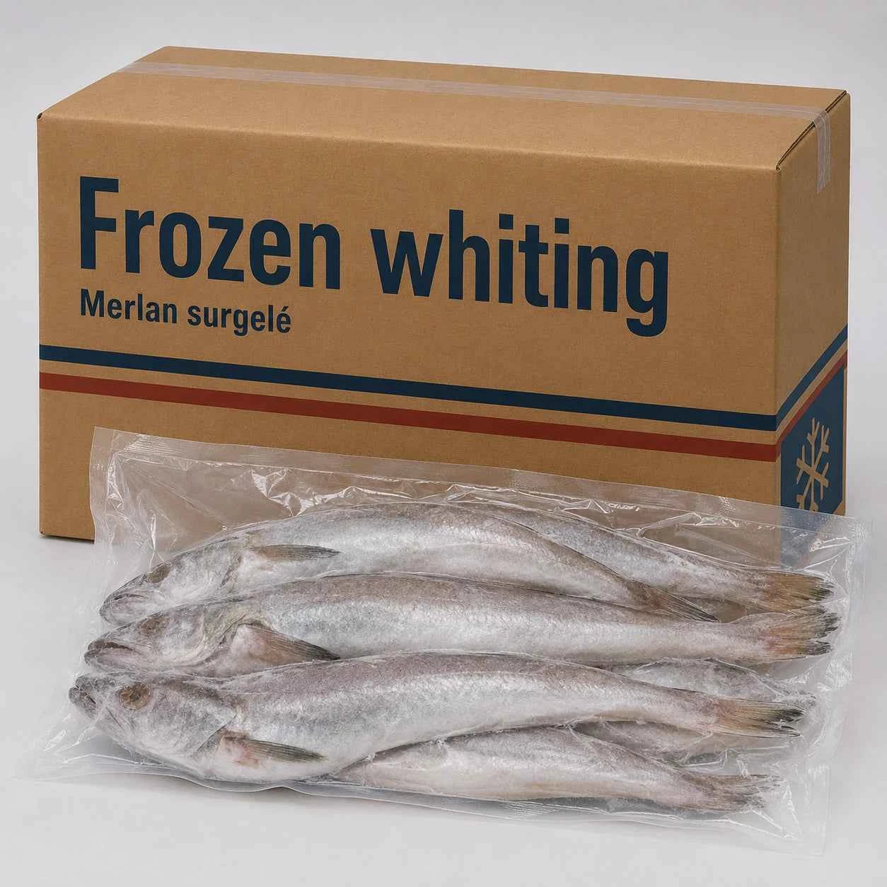 Merlan – Frozen | 20 Kg