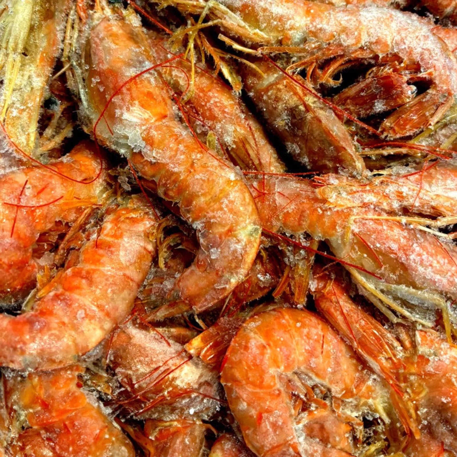 Wild Red Shrimp Frozen (10Kg)