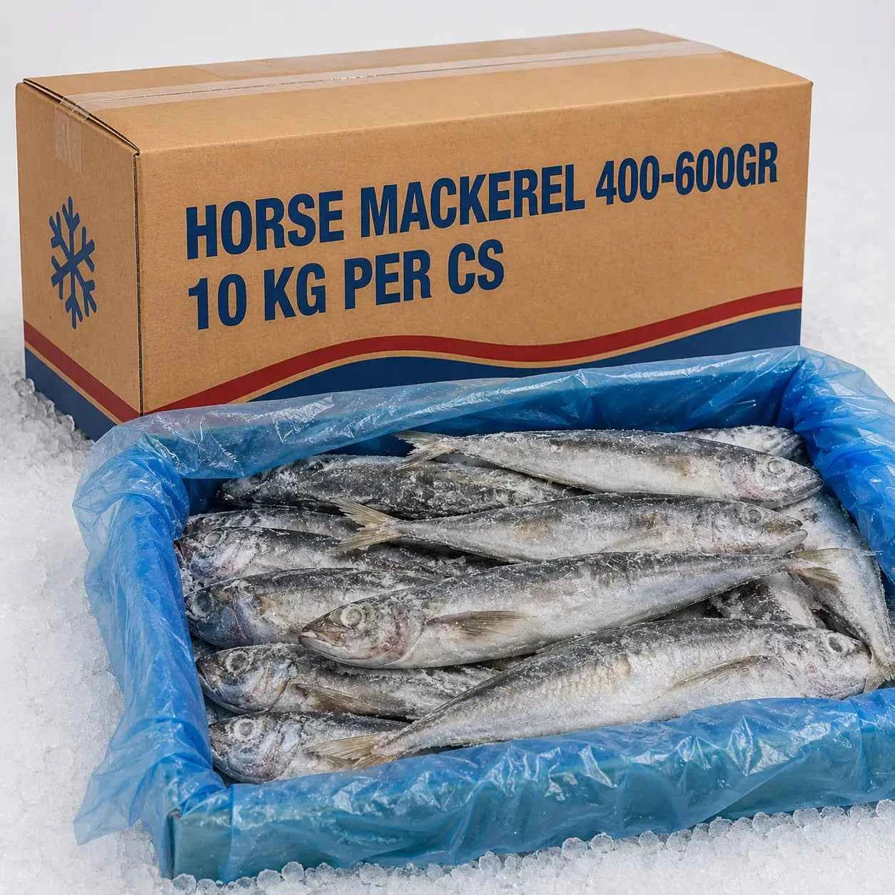 Horse Mackerel– Frozen | 10 KG