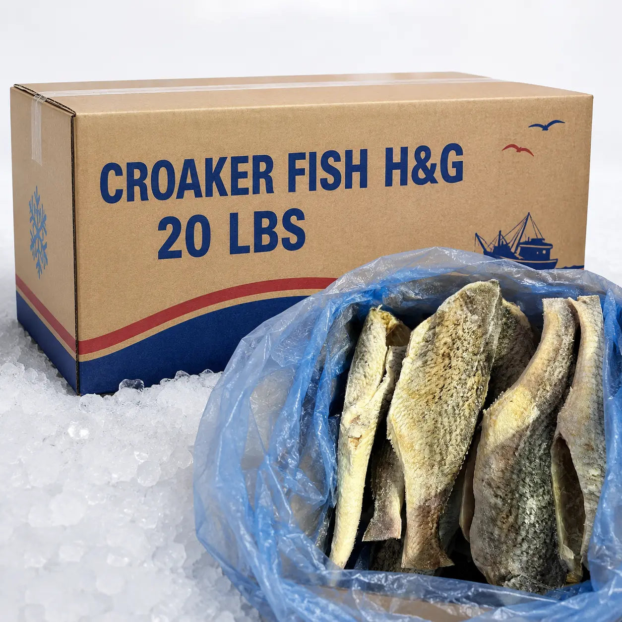 Croaker Fish H&G – Frozen | 20 LBS