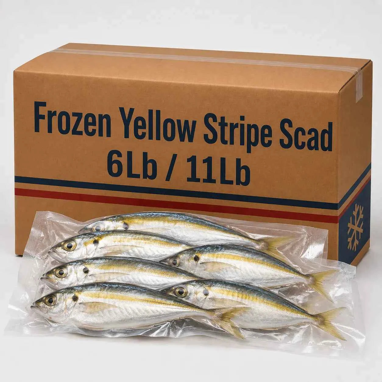 Yellow Stripe Scad – Frozen | 6Lb / 11Lb