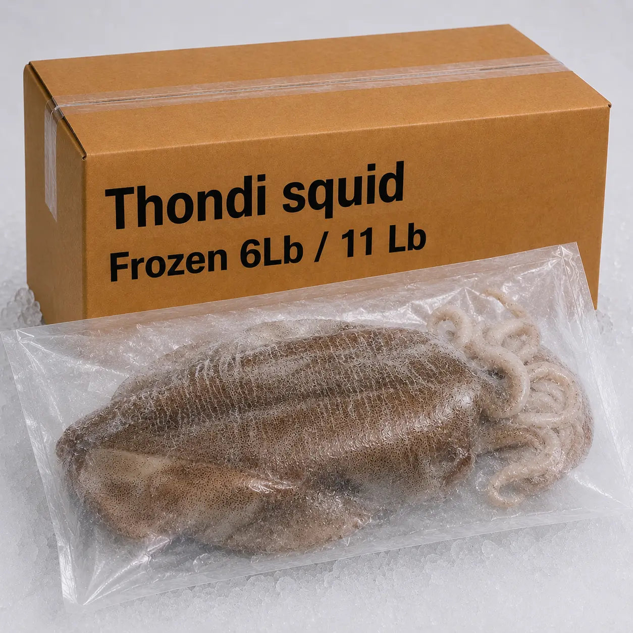 Thondi squid Frozen 6Lb / 11 Lb
