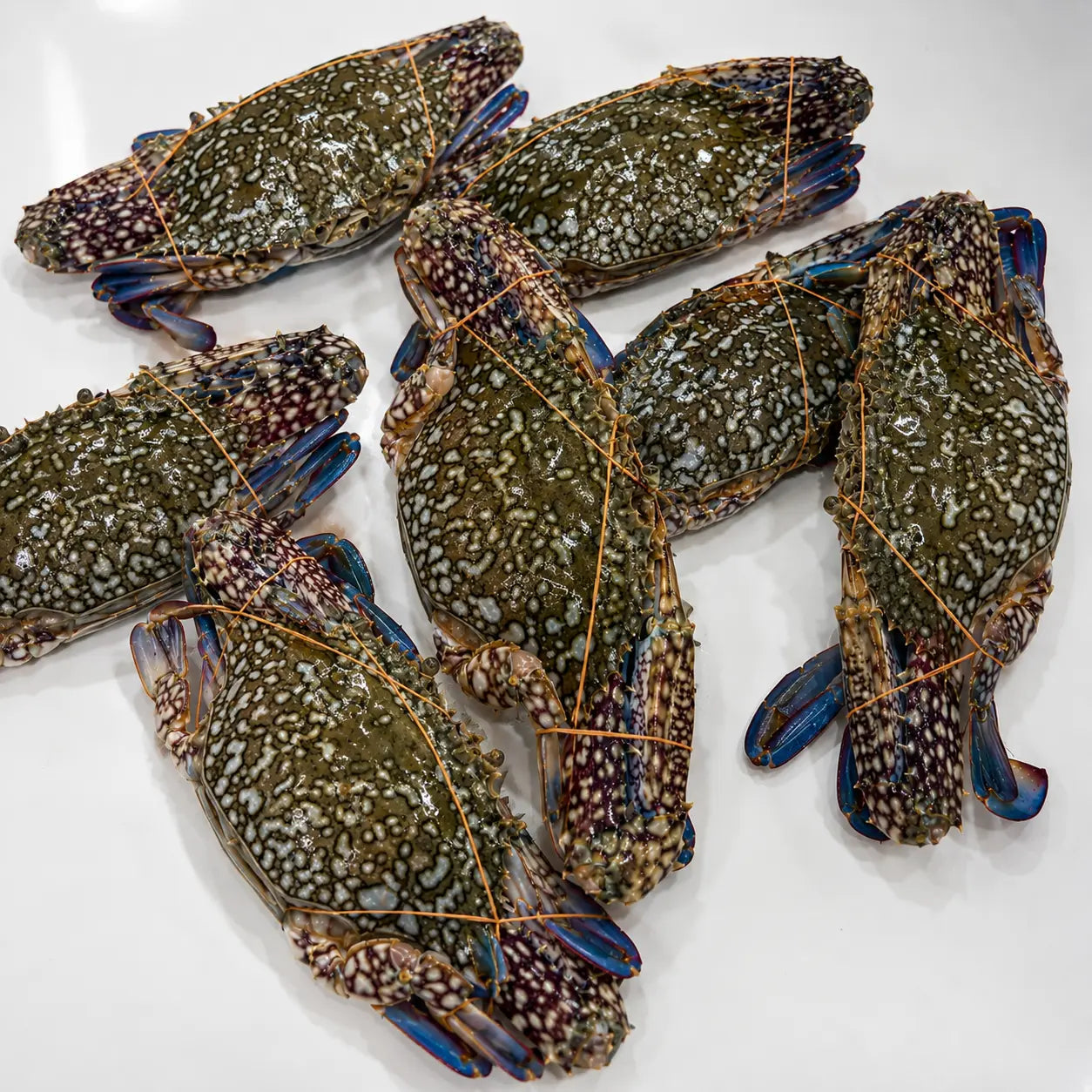 Blue Crab – Fresh | 3kg / 5 kg