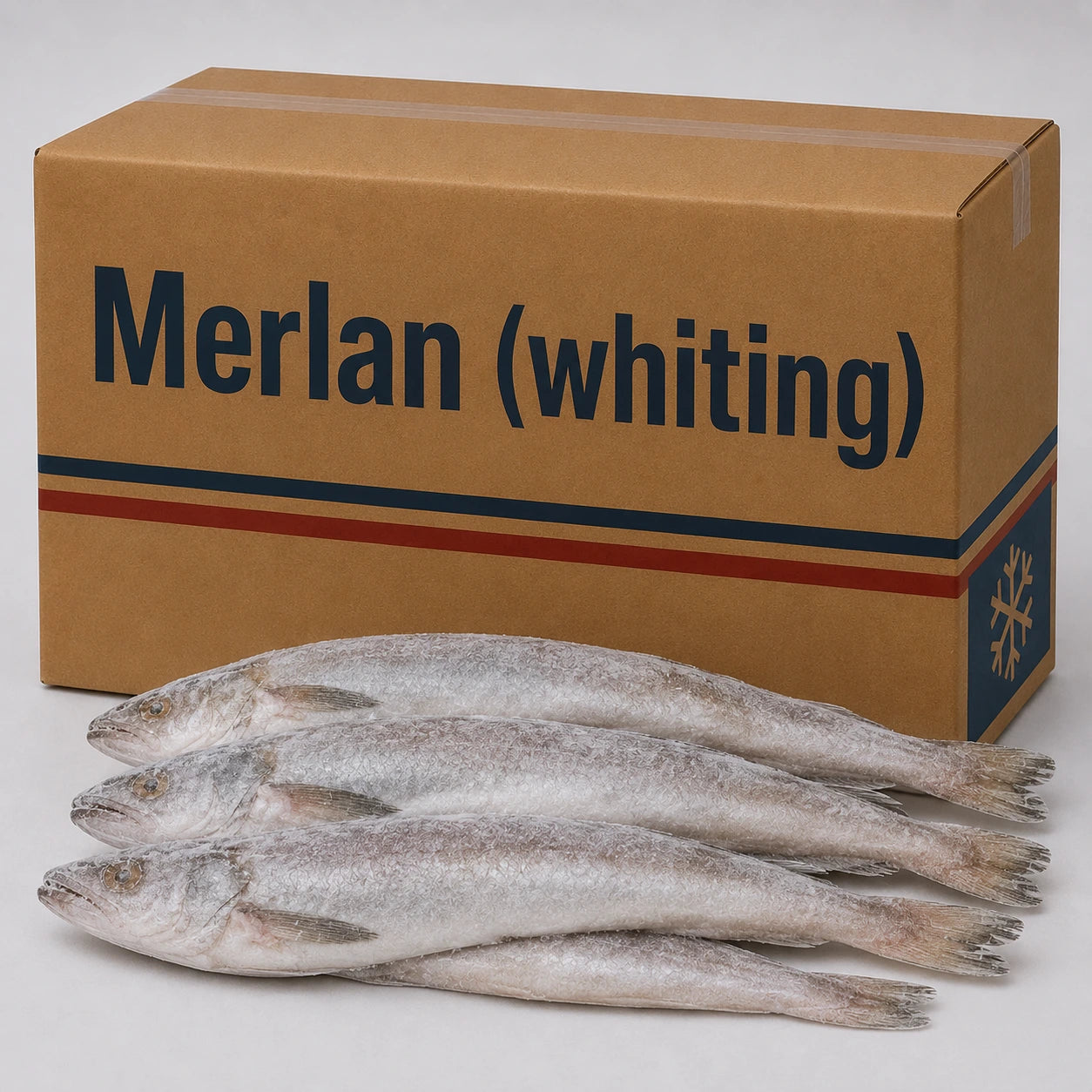 Merlan – Frozen | 20 Kg