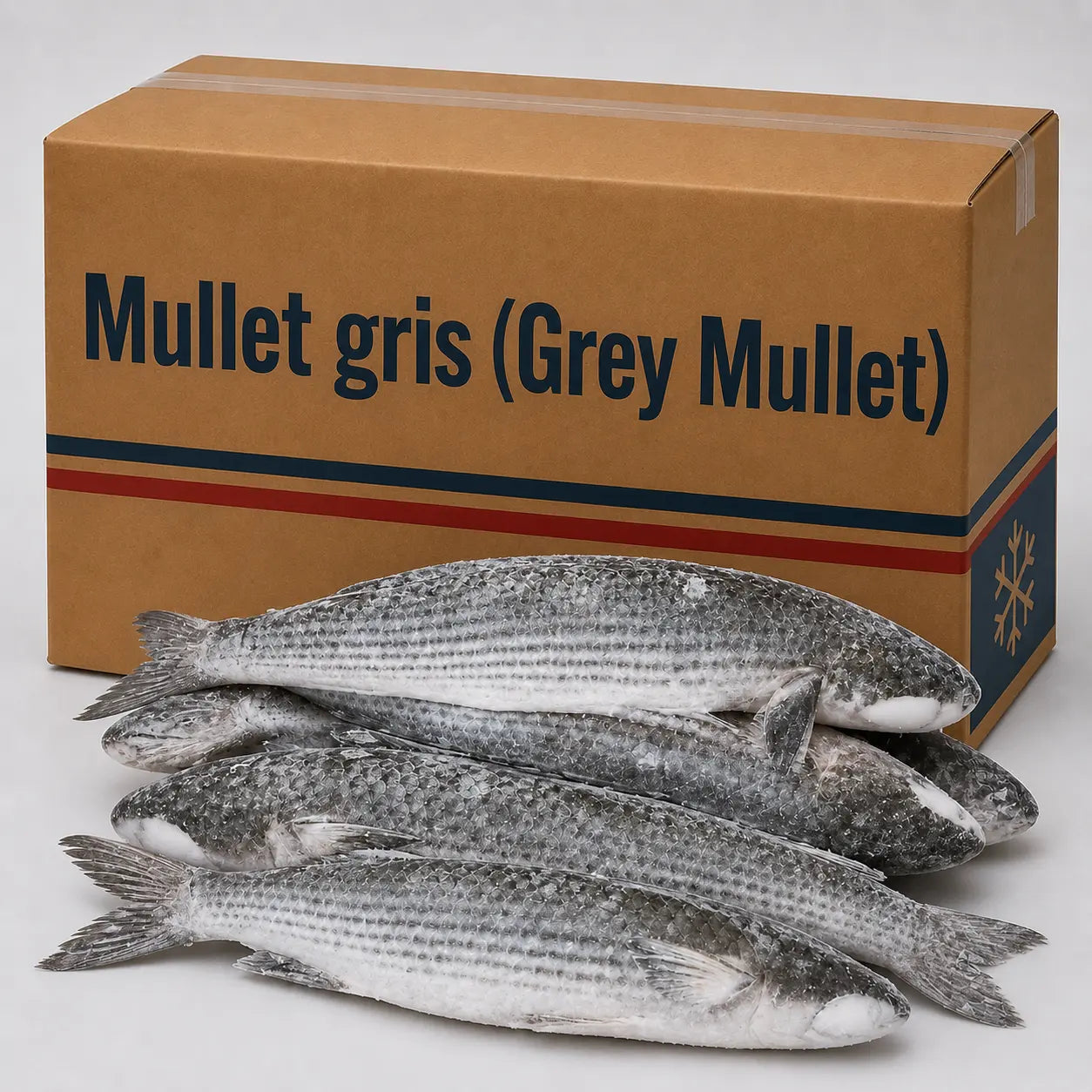 Mullet gris (Grey Mullet) – Frozen | 20 Kg