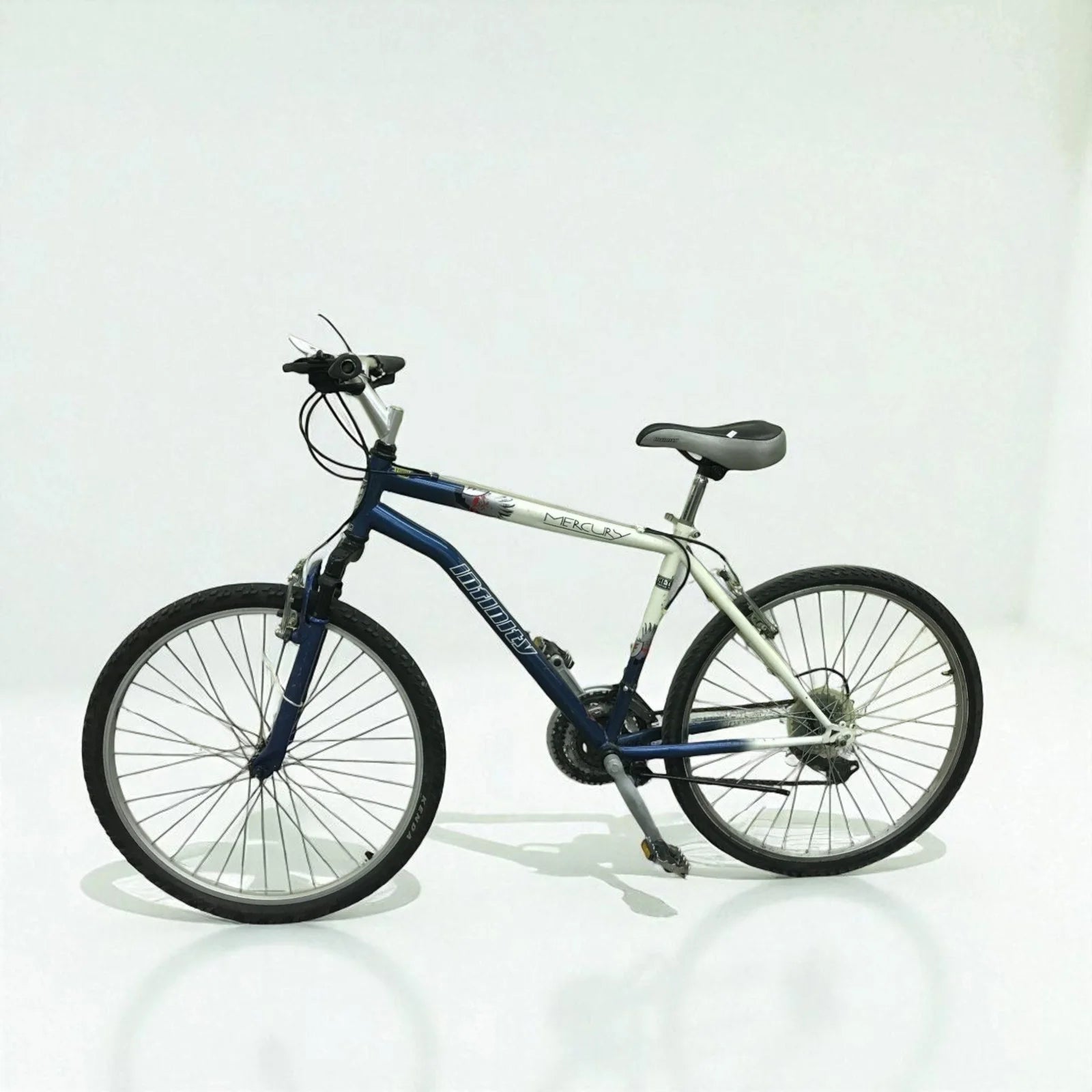 Blue Mountain Bike - Returned