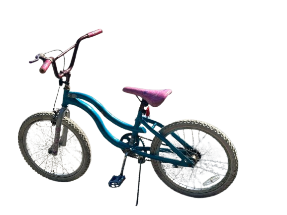 Dream Weaver Single-Speed Kids Bike - Used