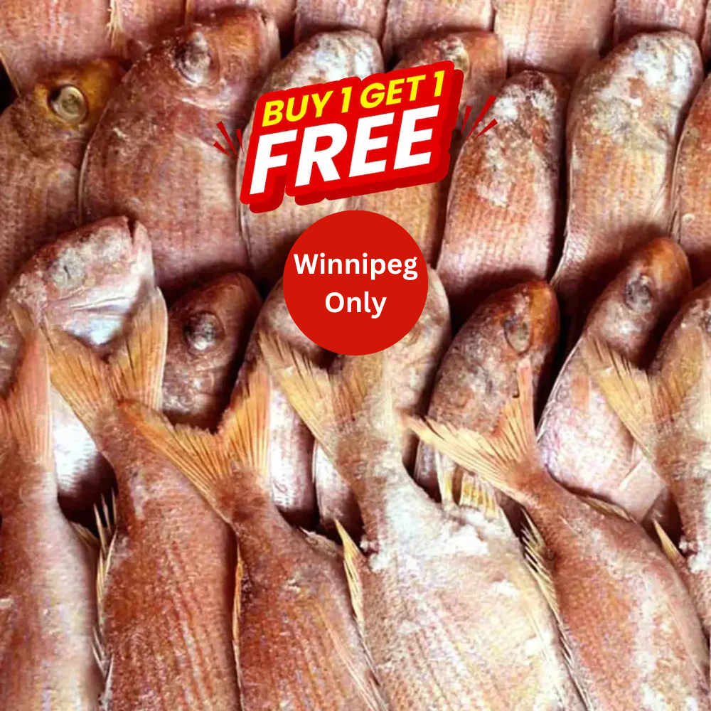 Pink Snapper Medium Frozen (10 KG)