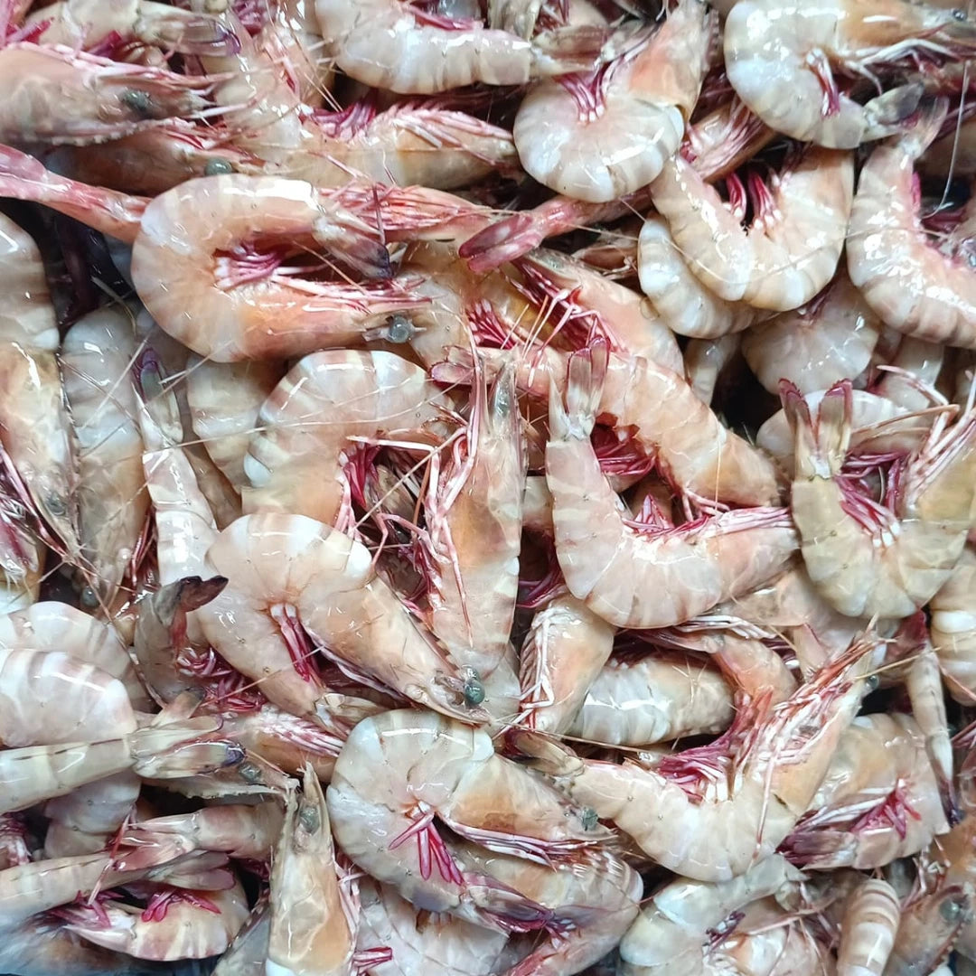 Flower Prawn – Fresh | 3kg / 5 kg