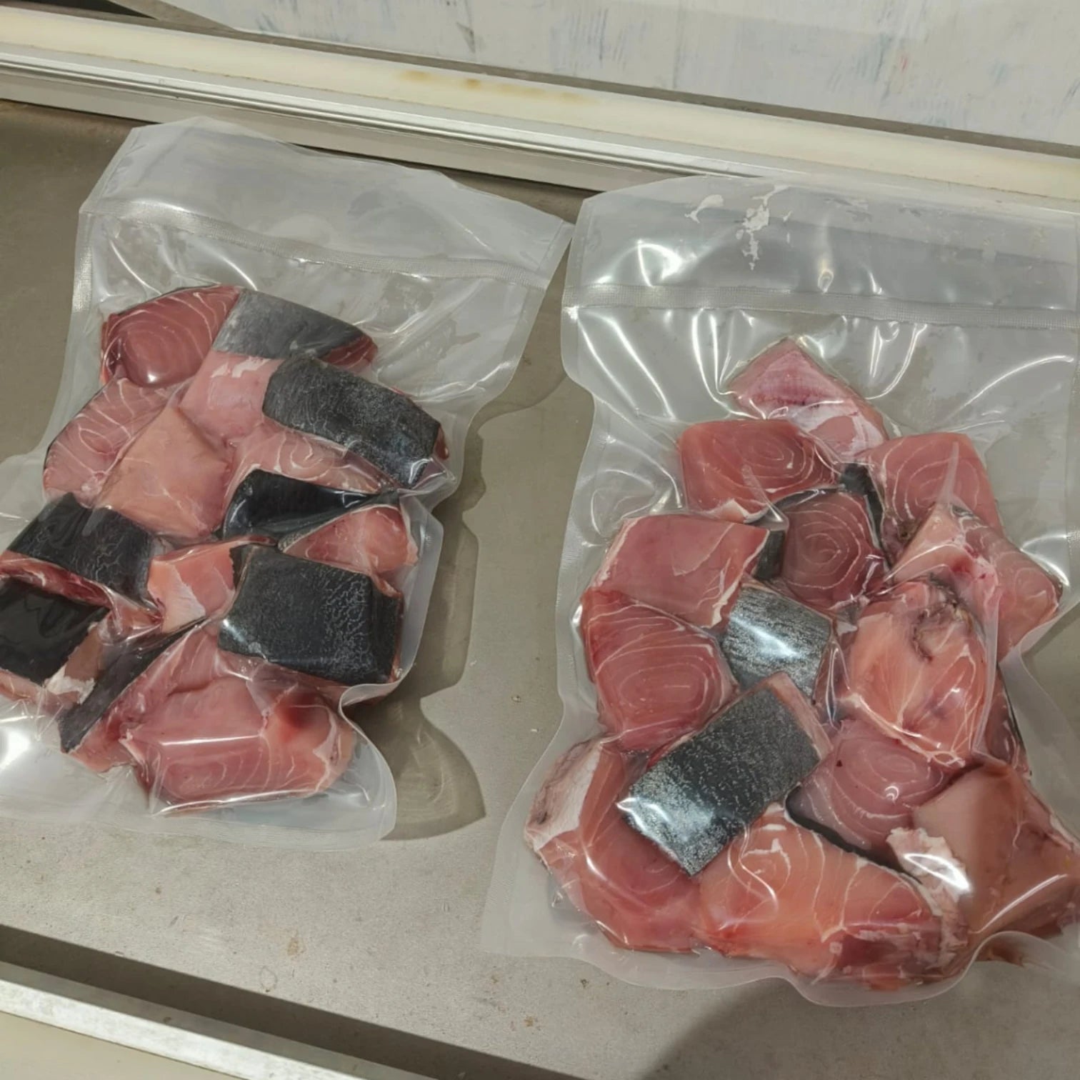 Sailfish Chunks – Fresh | 5 kg