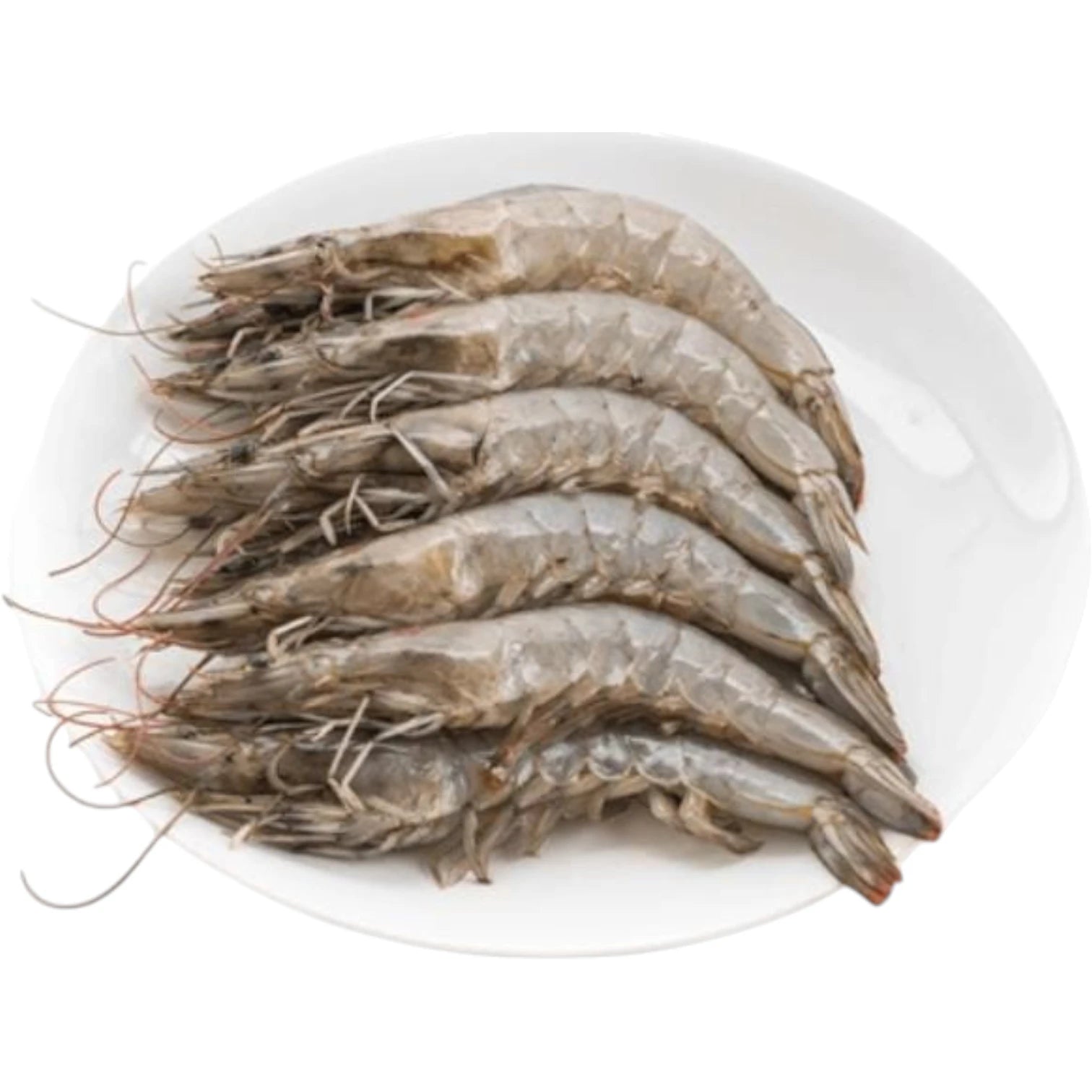 Flower Prawn Fresh – 5 kg