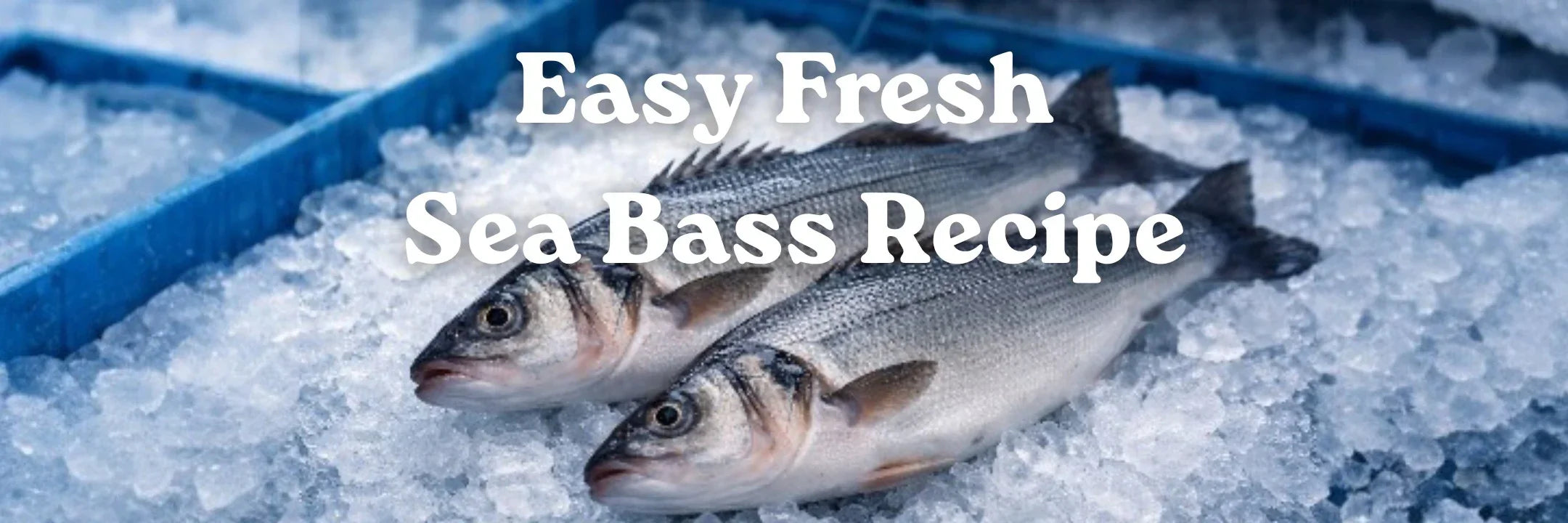 Easy Fresh Sea Bass Recipe