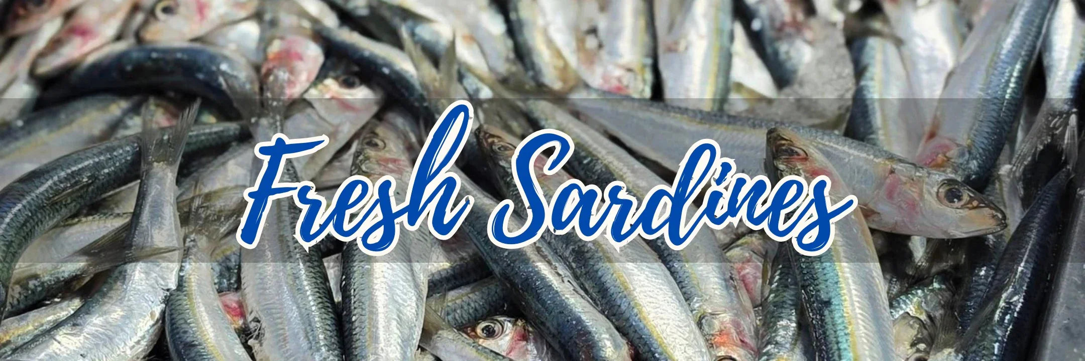 Where to Buy Fresh Sardines in Vancouver (Fresh Sardines from Tunisia)