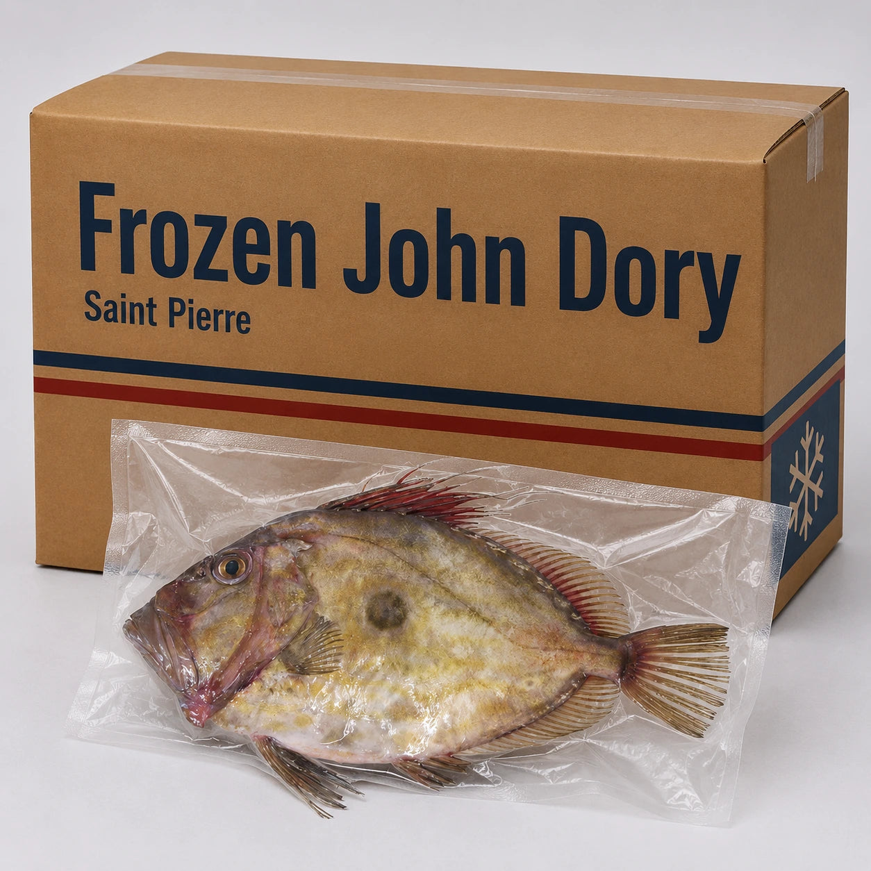 John Dory / Plat Plat – Frozen | 20 Kg