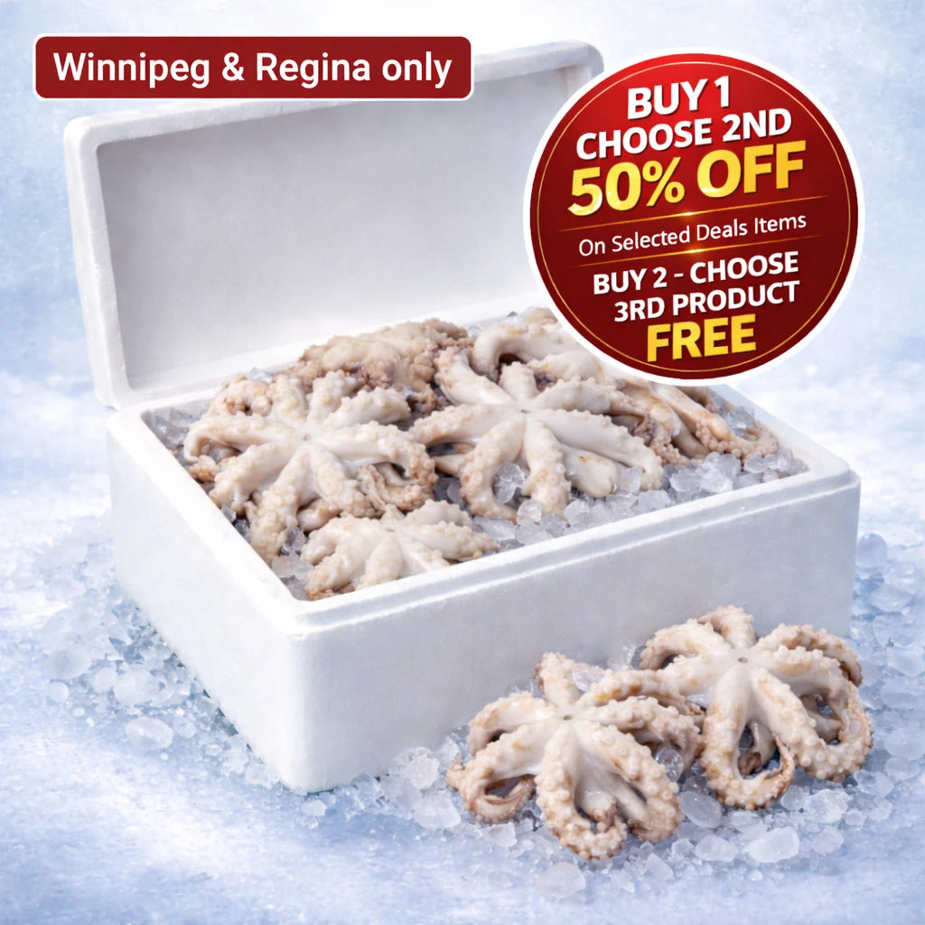 Octopus – Frozen | 12 kg
