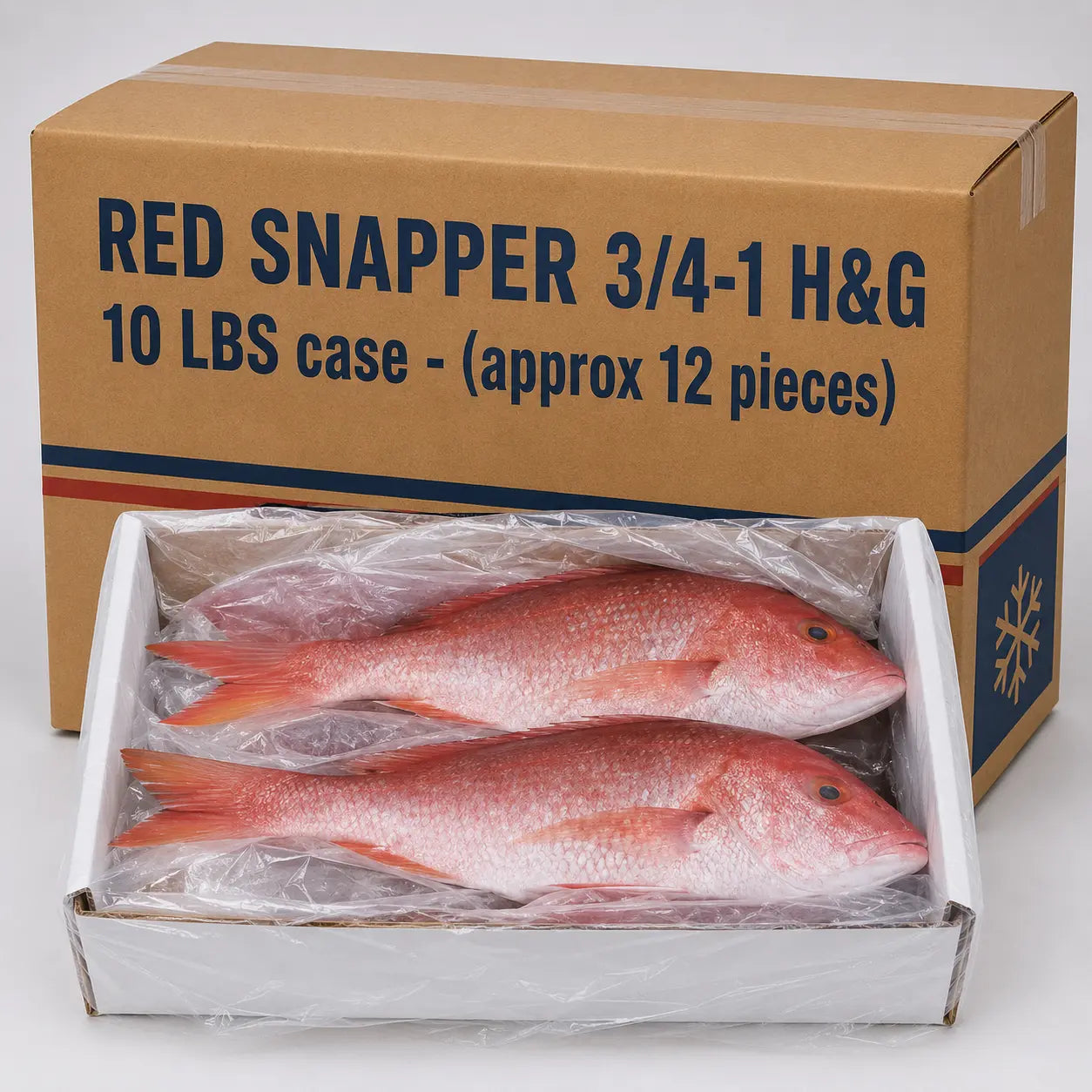 Red Snapper H&G – Frozen |  10 LBS