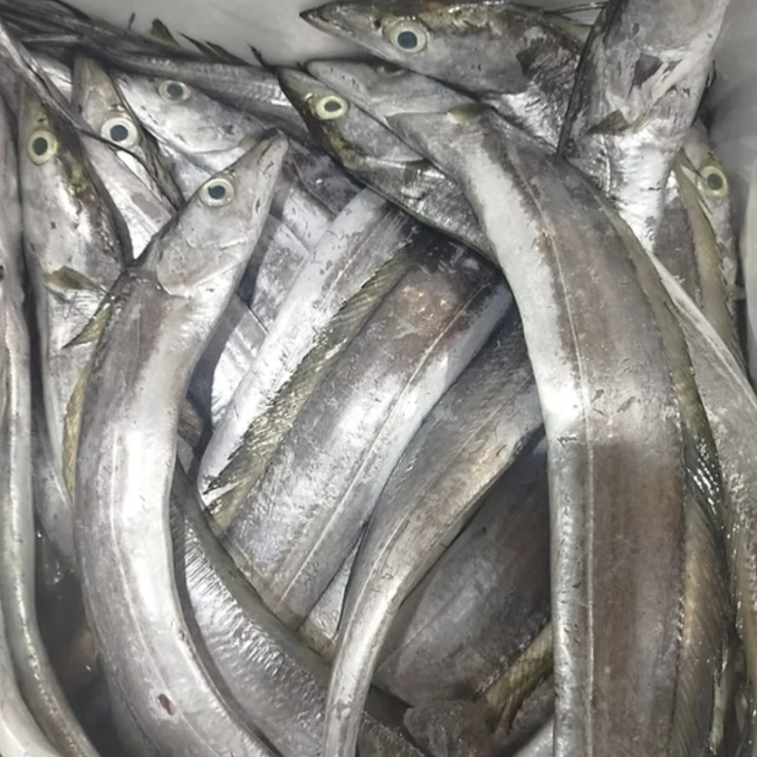 Ribbon Fish Fresh – 5 kg
