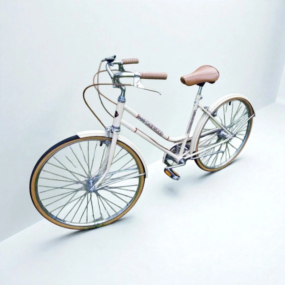 Vintage Oakwood 3-speed city bicycle with 18" frame