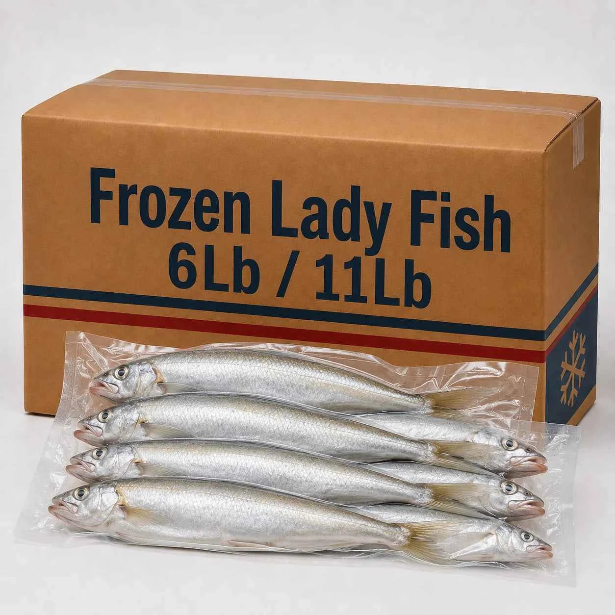 Lady Fish  – Frozen | 6Lb / 11Lb