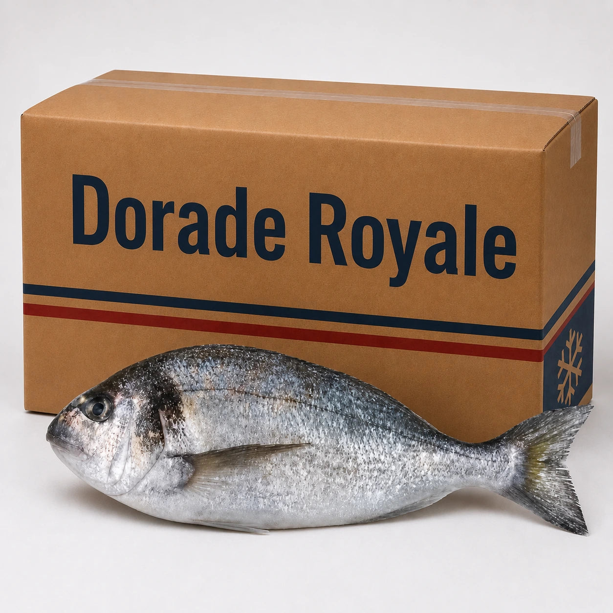 Dorade Royale  – Frozen | 20 Kg