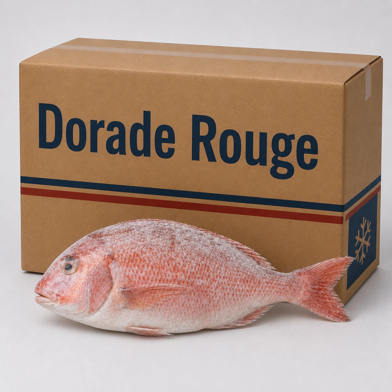 Red Sea Bream Frozen Mediterranean Fish 5kg Wholesale Supply