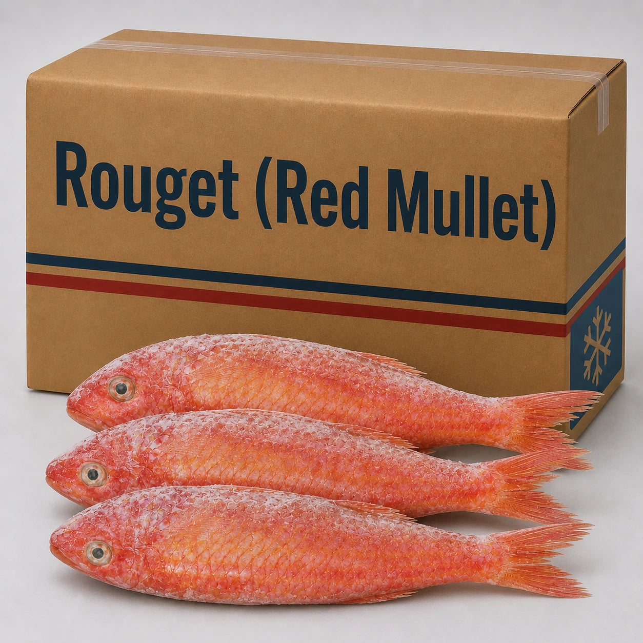 Red mullet – Frozen | 20 Kg