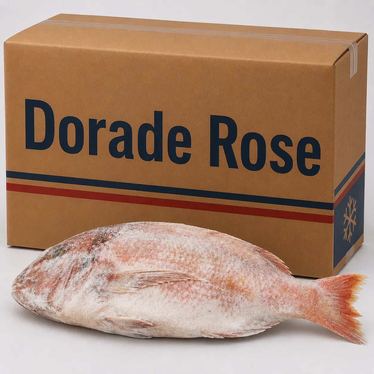 Dorade Rose (Pink Sea Bream) – Frozen | 20 Kg