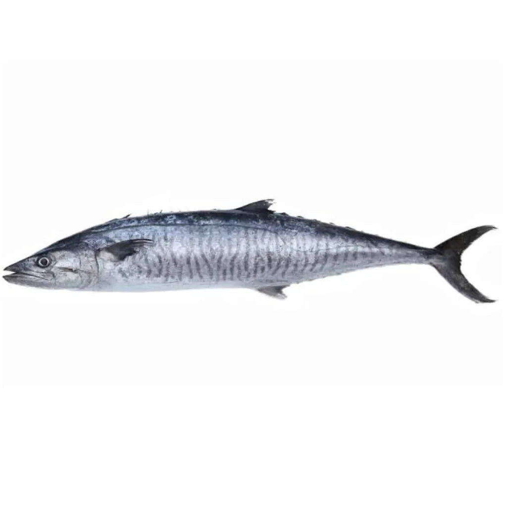 King Fish Wahoo – Frozen | 6Lb / 11Lb