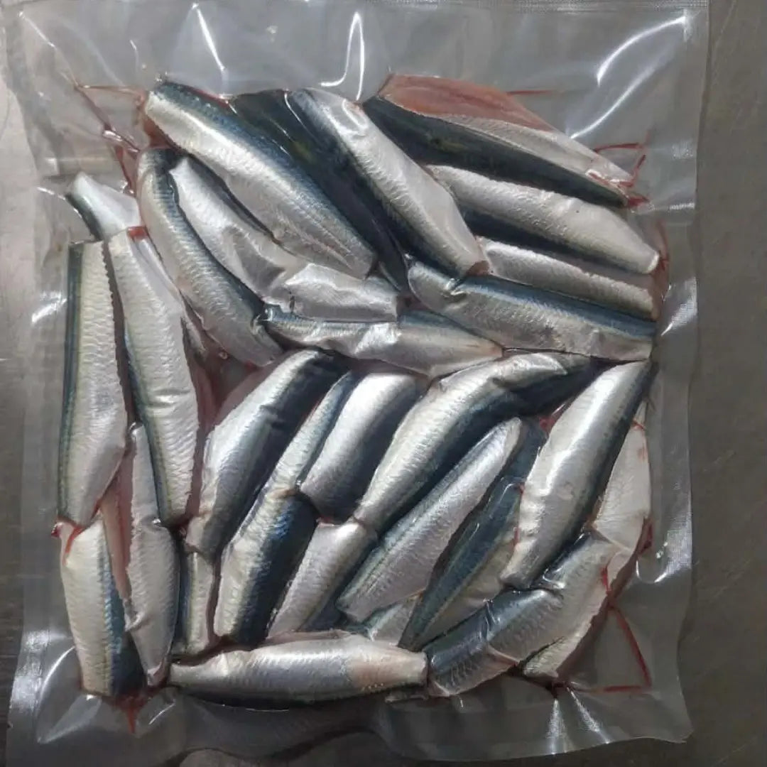 Sardine cleaned - Fresh - 5 kg