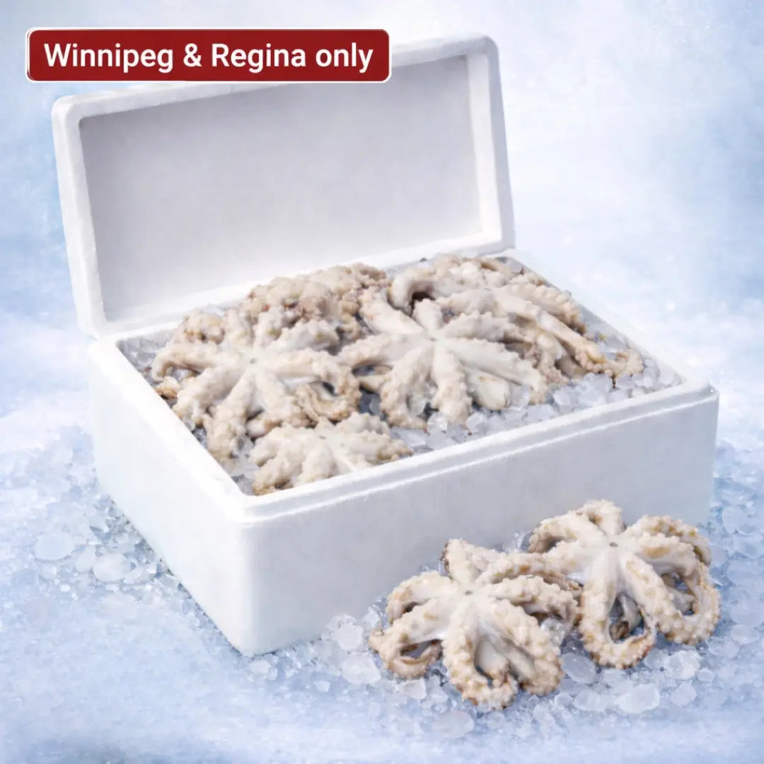 Octopus – Frozen | 12 kg