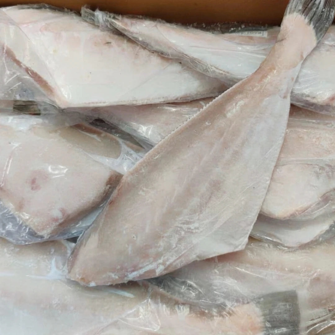 Leatherjacket Fish – Frozen | 8 kg