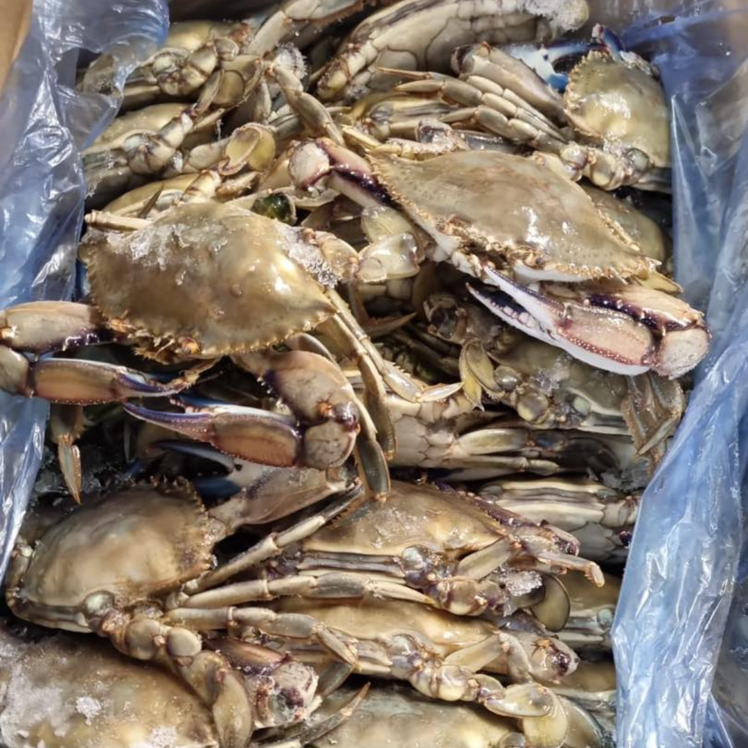 Crab Frozen Clean Vacuum pack  6 LB / 11 Lb