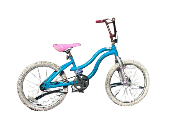 Dream Weaver Single-Speed Kids Bike - Used