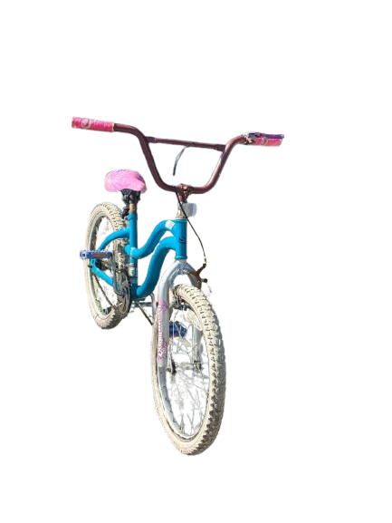 Dream Weaver Single-Speed Kids Bike - Used