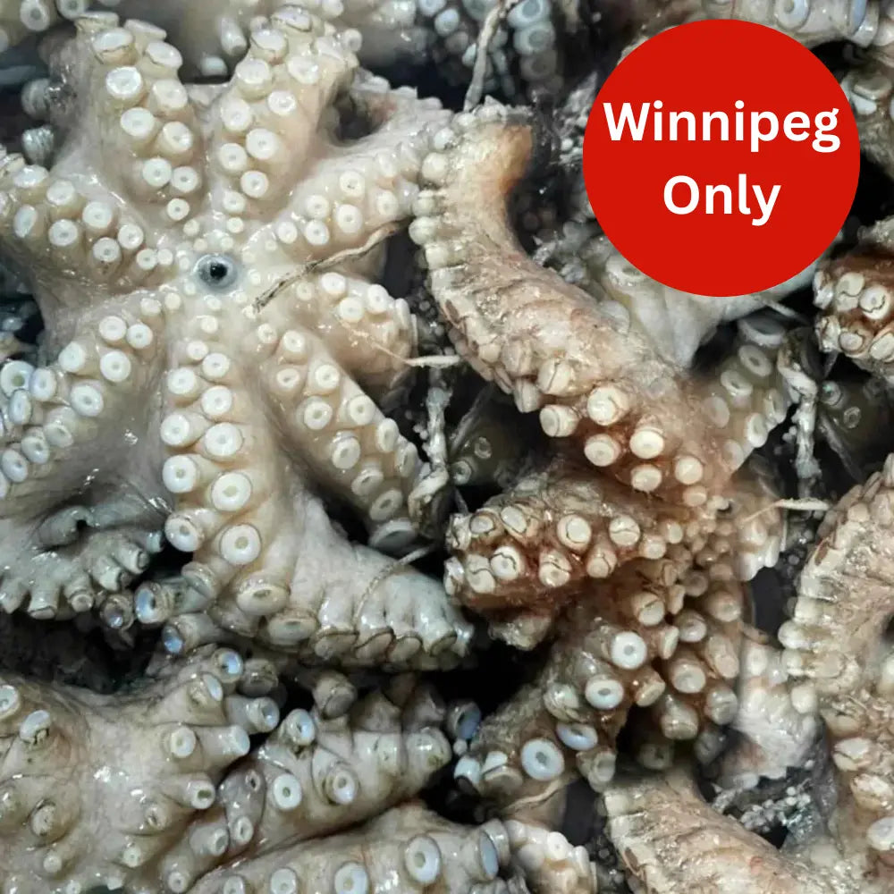 Octopus Frozen