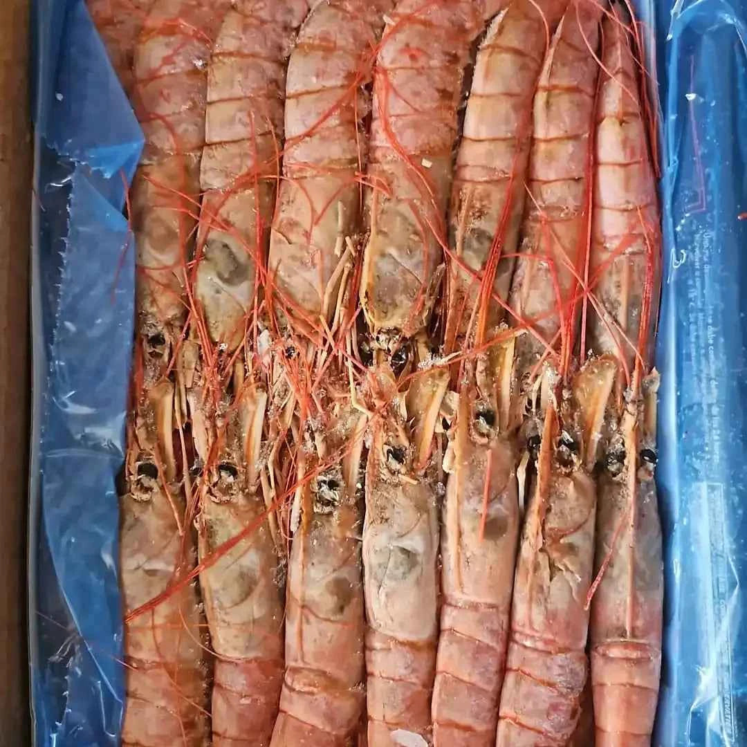 Wild Red Shrimp Frozen (12Kg)