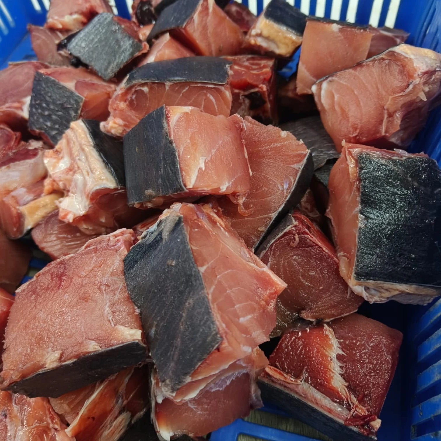 Sailfish Chunks – Fresh | 5 kg