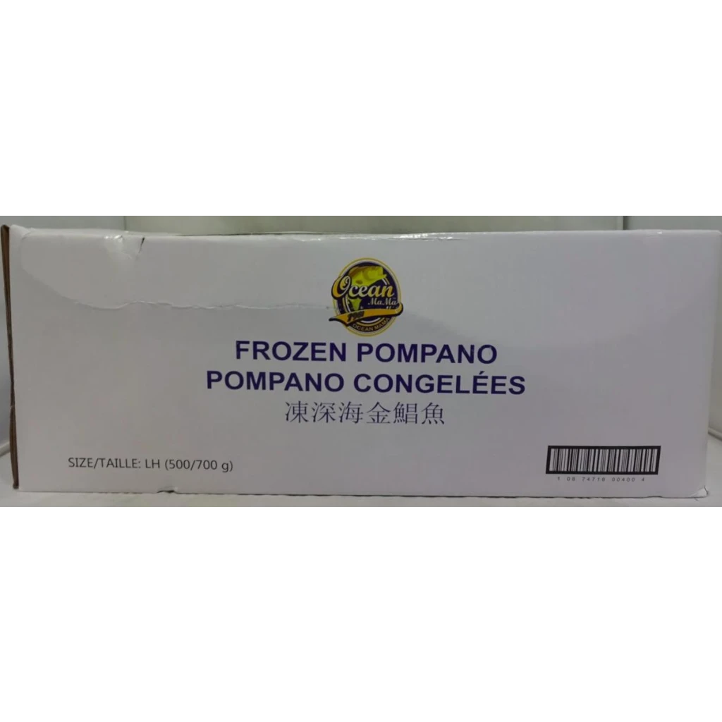 Golden Pompano – Frozen | 14.5 kg