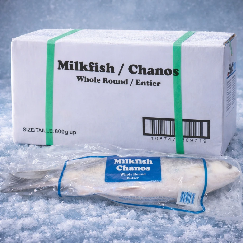 Milkfish – Frozen | 8 kg