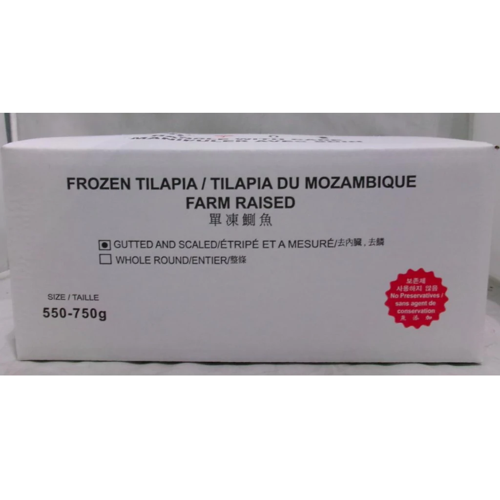 Tilapia – Frozen | 7.3 kg