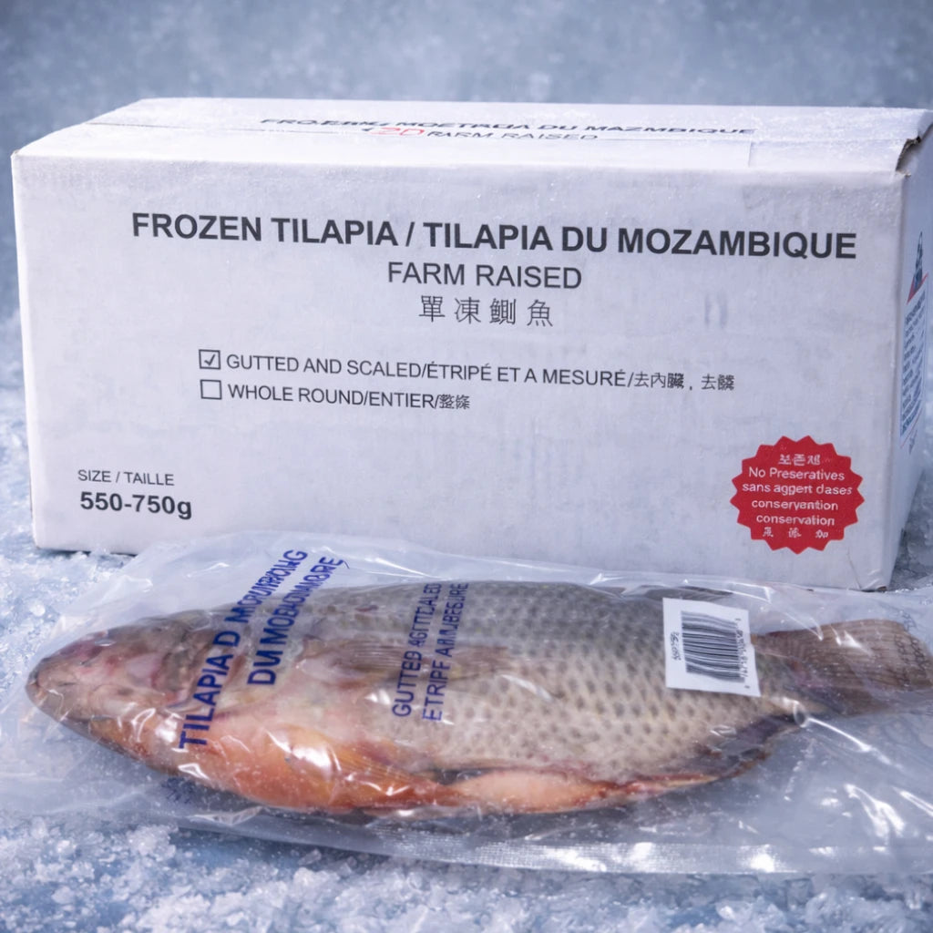 Tilapia – Frozen | 7.3 kg