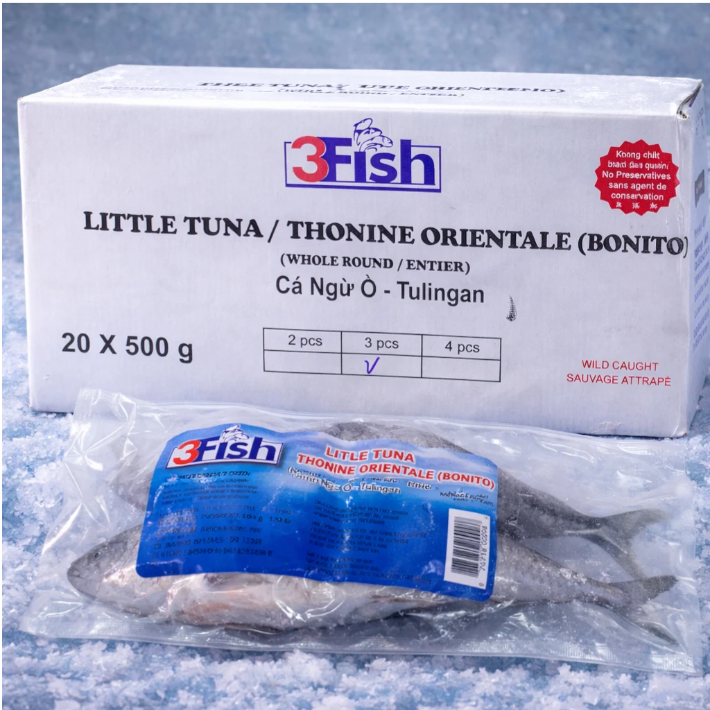 Little Tuna (Bonito) – Frozen | 10 kg (20 × 500 g)