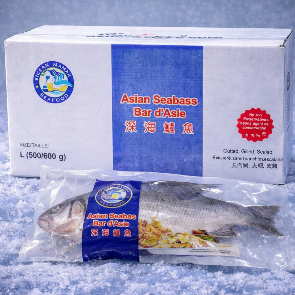 Asian Seabass – Frozen | 9 kg