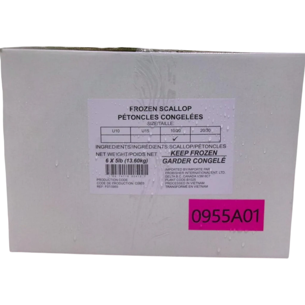 Scallop Meat – Frozen | 13.6 kg (6 × 2.27 kg)