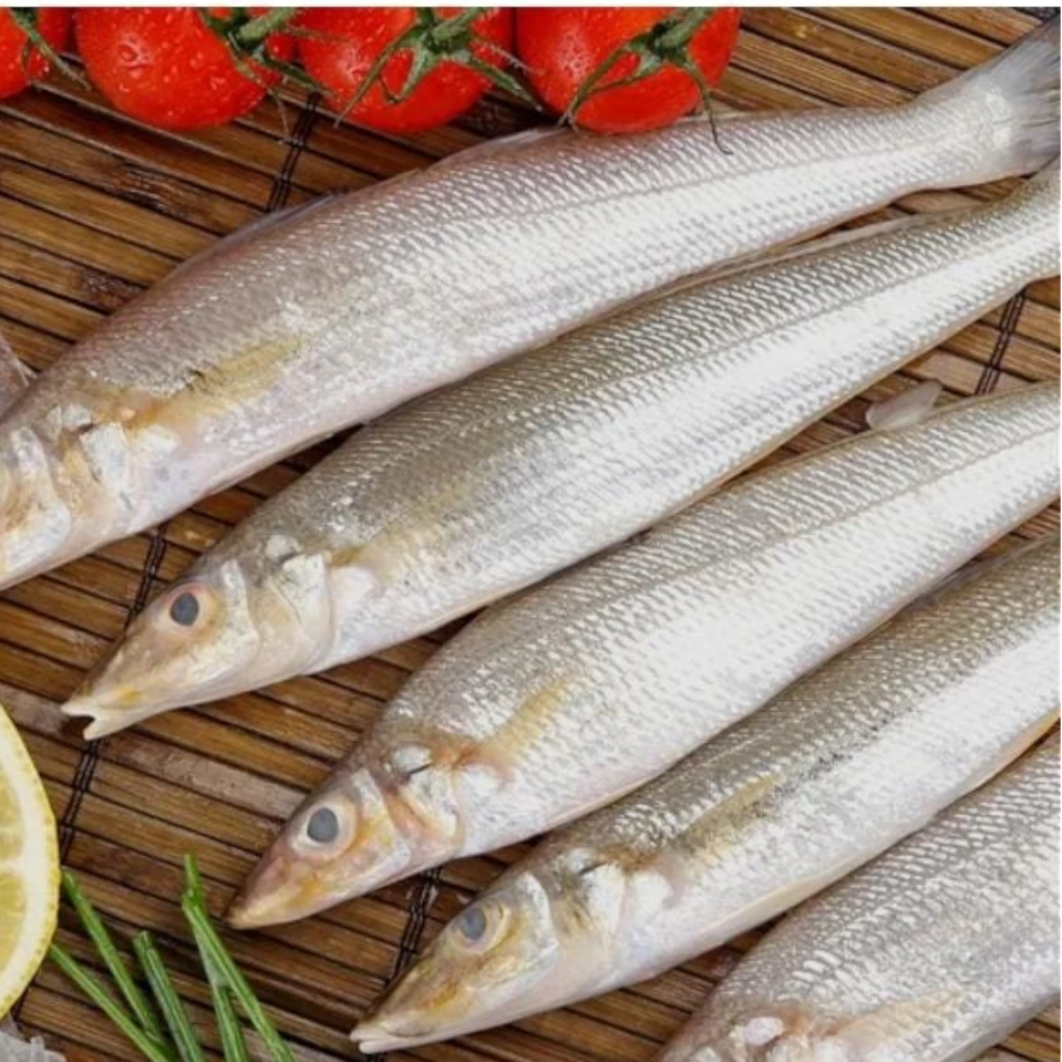 Lady Fish – Fresh | 3kg / 5 kg