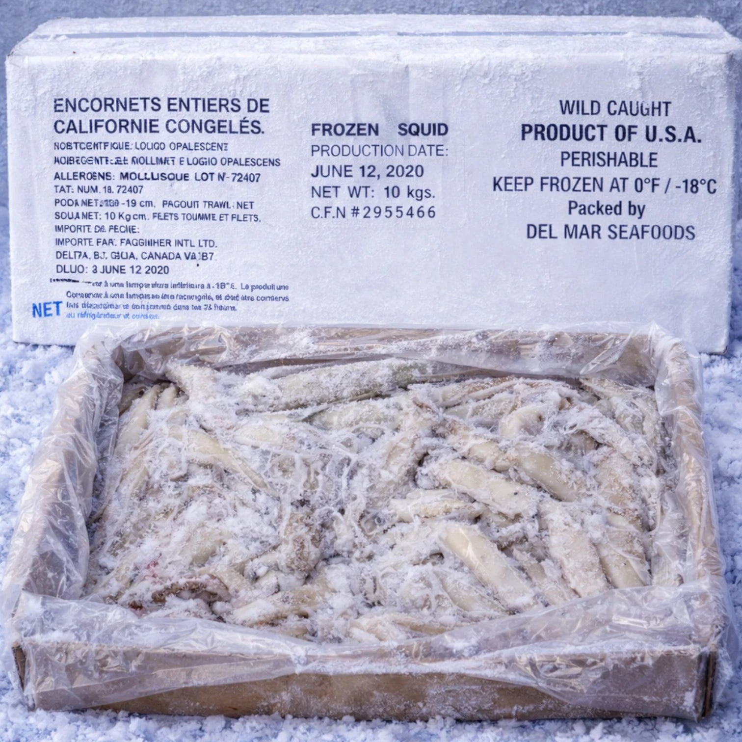 Whole California Squid – Frozen | 10 kg