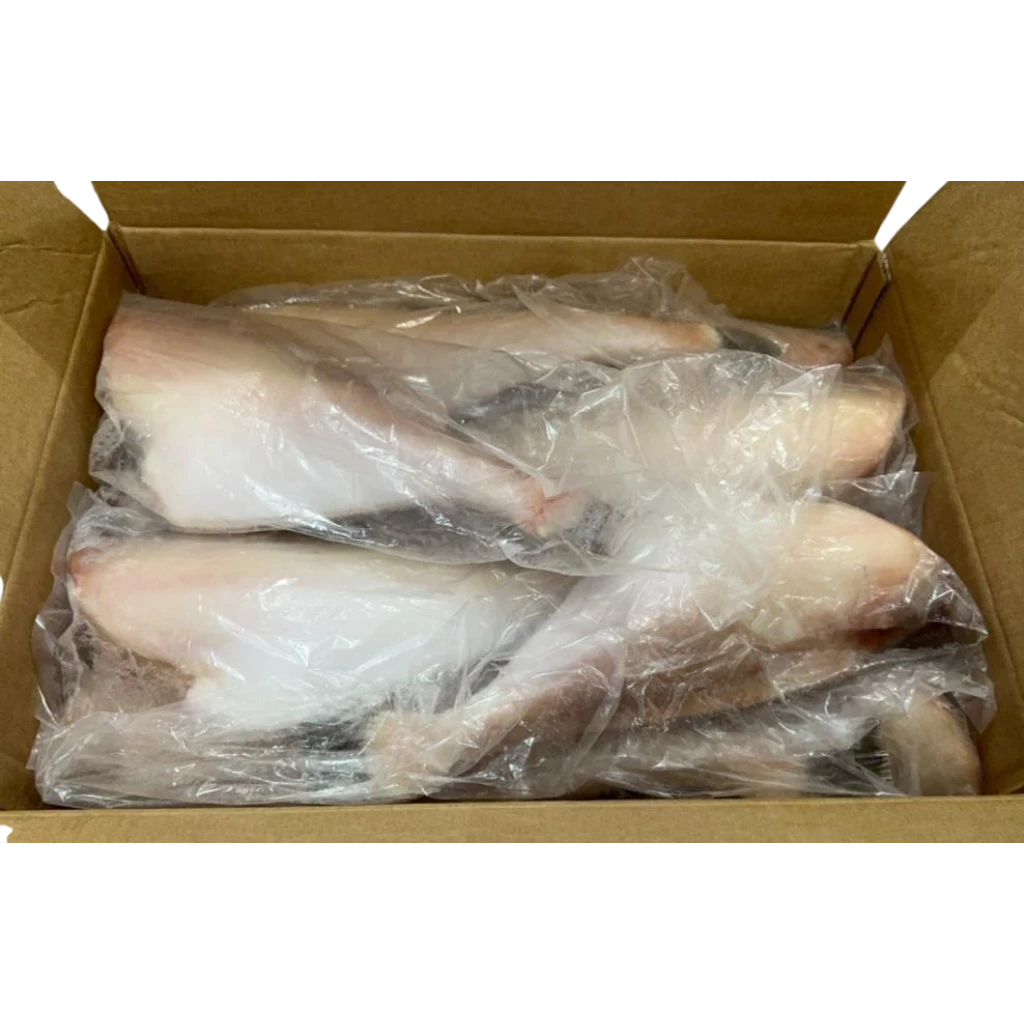 Leatherjacket Fish – Frozen | 8 kg