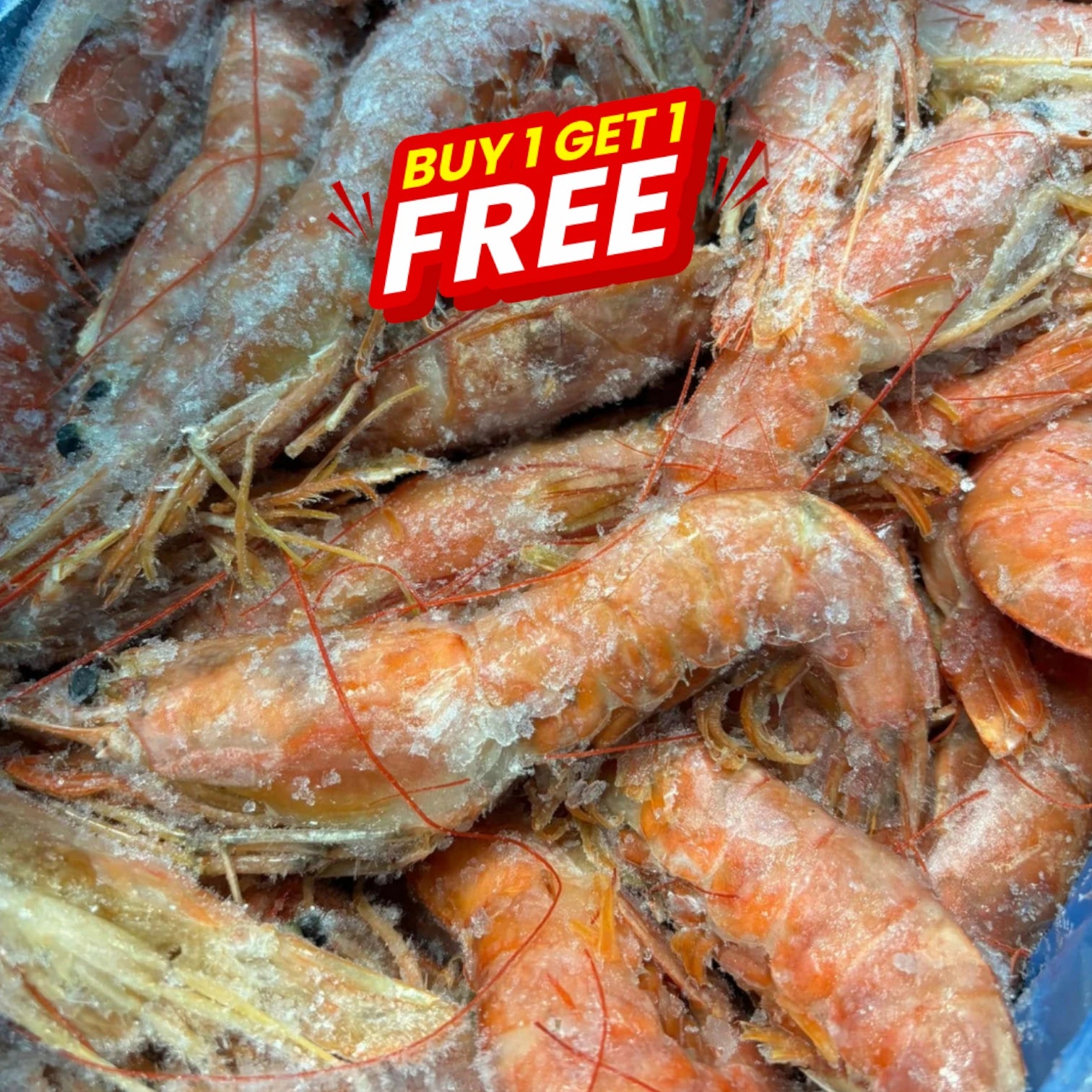 Wild Red Shrimp Frozen (5 Kg)
